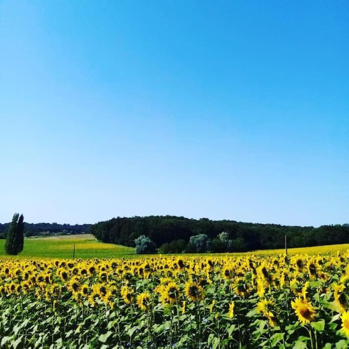Ferienhaus As Seen On A New Life In The Sun - Beautiful 3 Bedroom With Shared Pool *